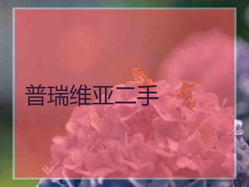 普瑞维亚二手