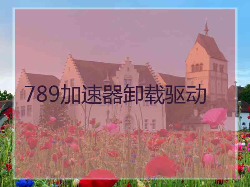 789加速器卸载驱动