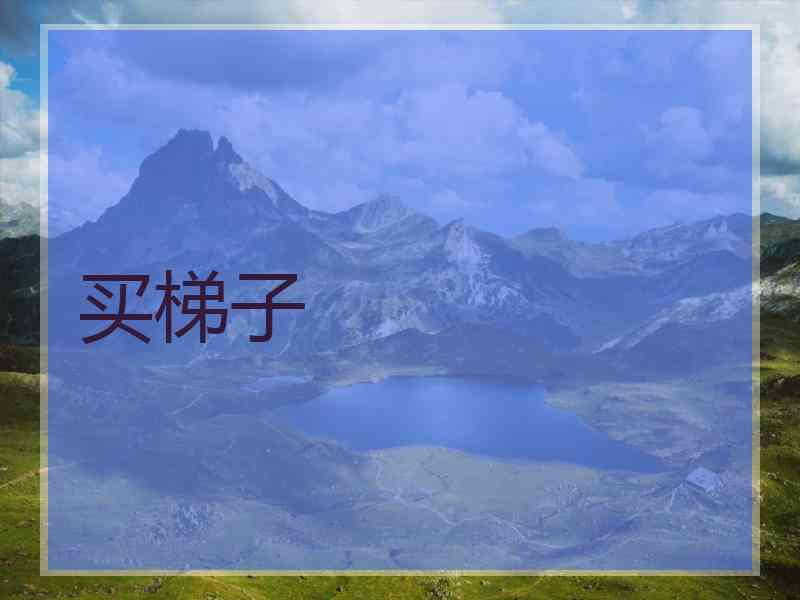 买梯子