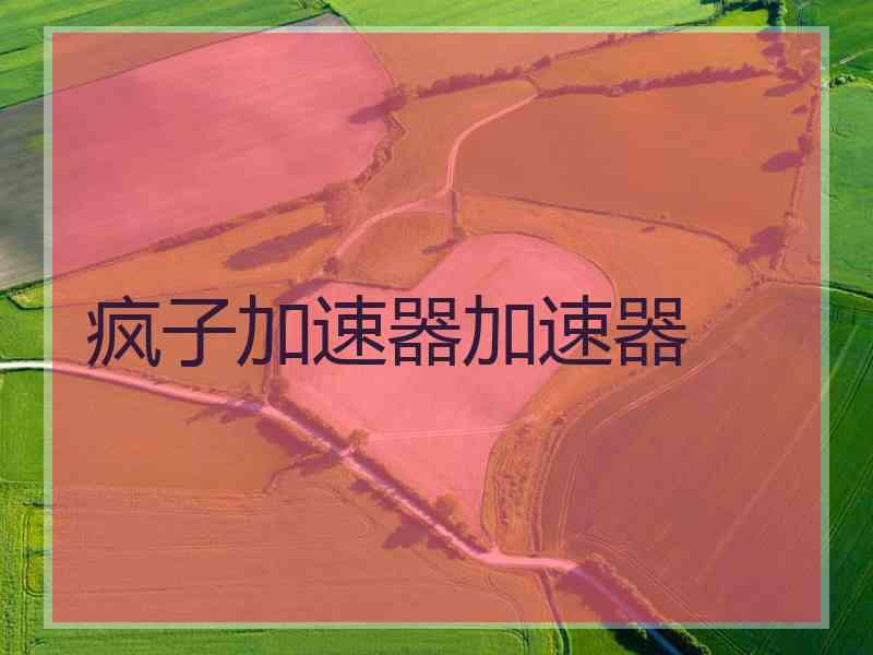 疯子加速器加速器