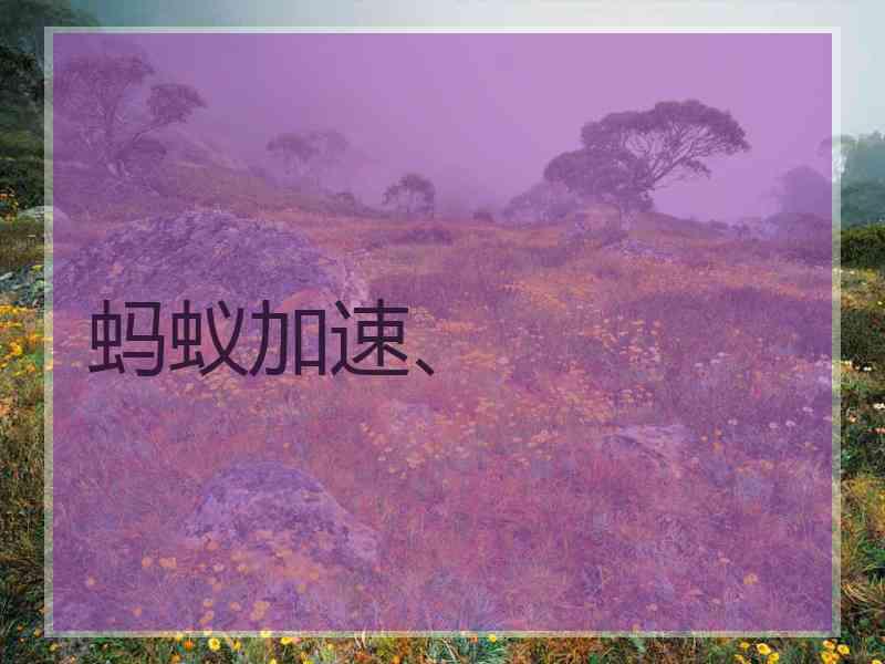 蚂蚁加速、