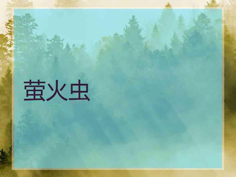 萤火虫