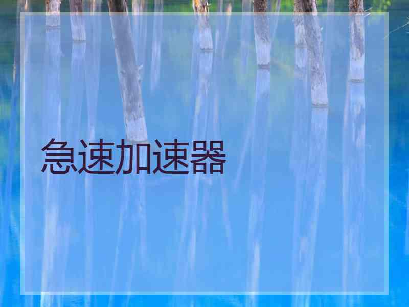 急速加速器