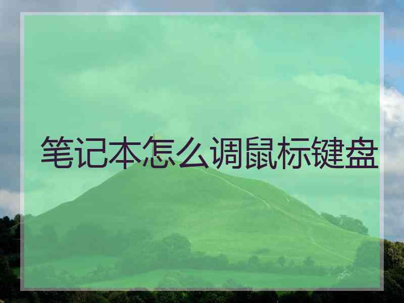 笔记本怎么调鼠标键盘
