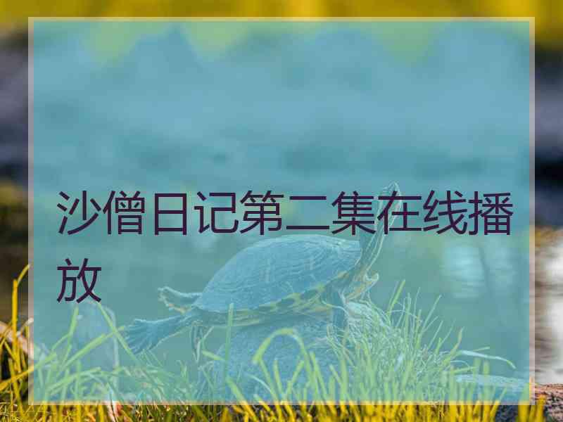 沙僧日记第二集在线播放