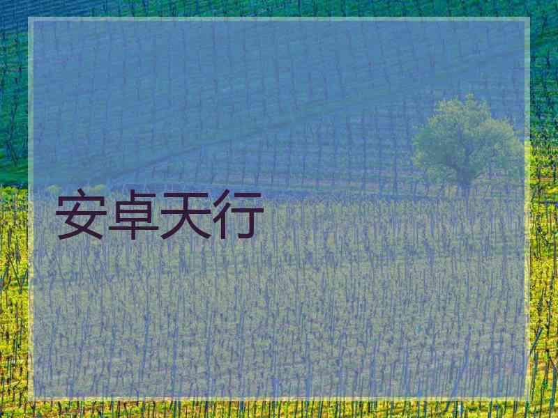 安卓天行