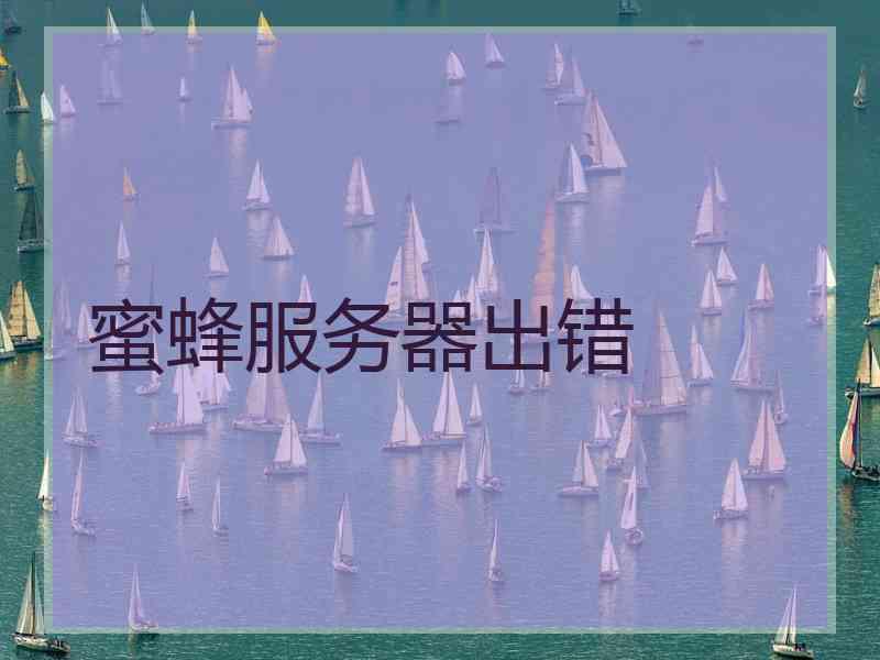 蜜蜂服务器出错