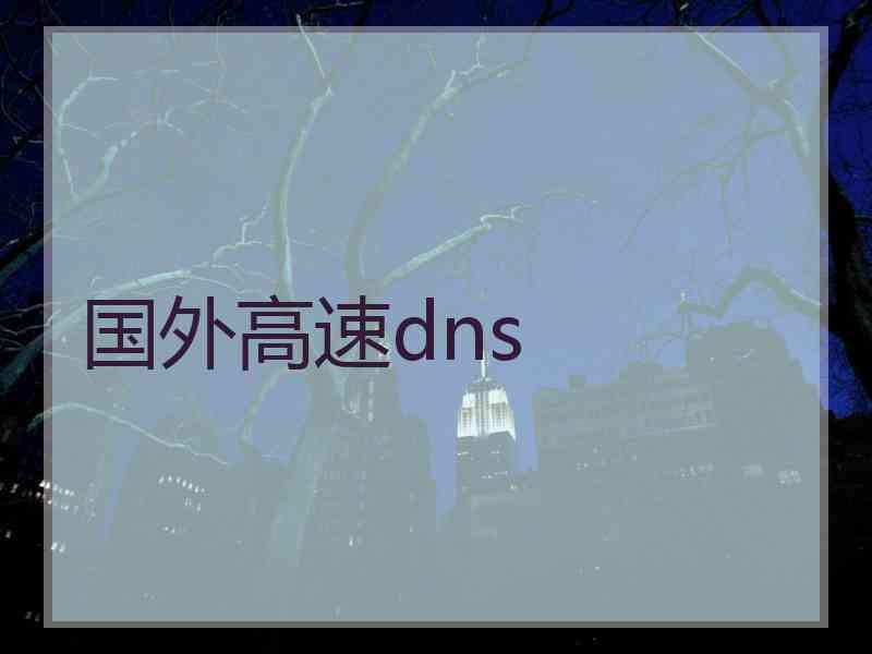 国外高速dns