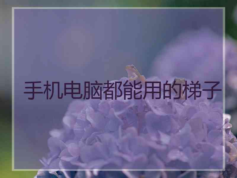 手机电脑都能用的梯子