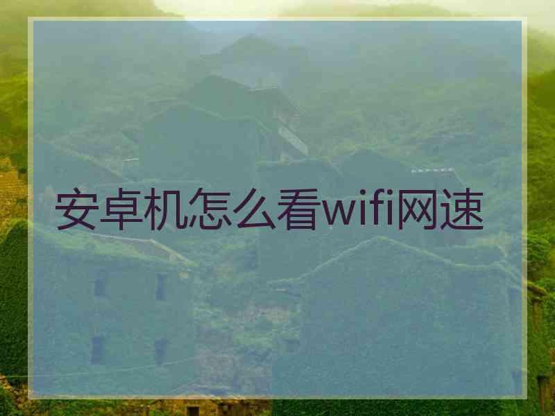 安卓机怎么看wifi网速