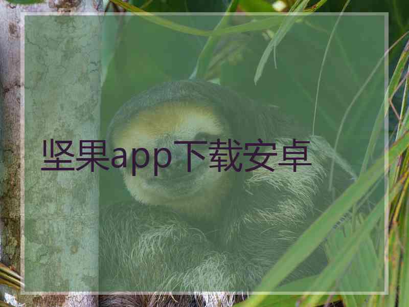 坚果app下载安卓