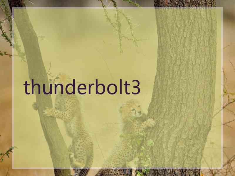 thunderbolt3