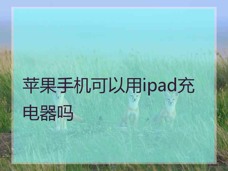 苹果手机可以用ipad充电器吗