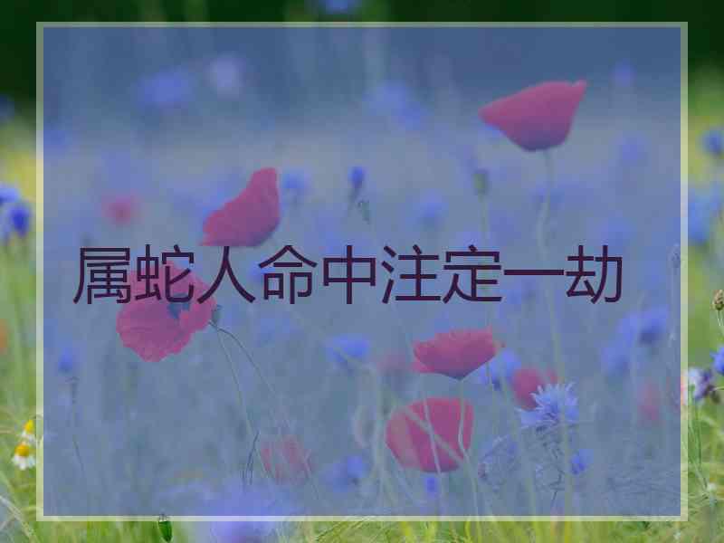属蛇人命中注定一劫