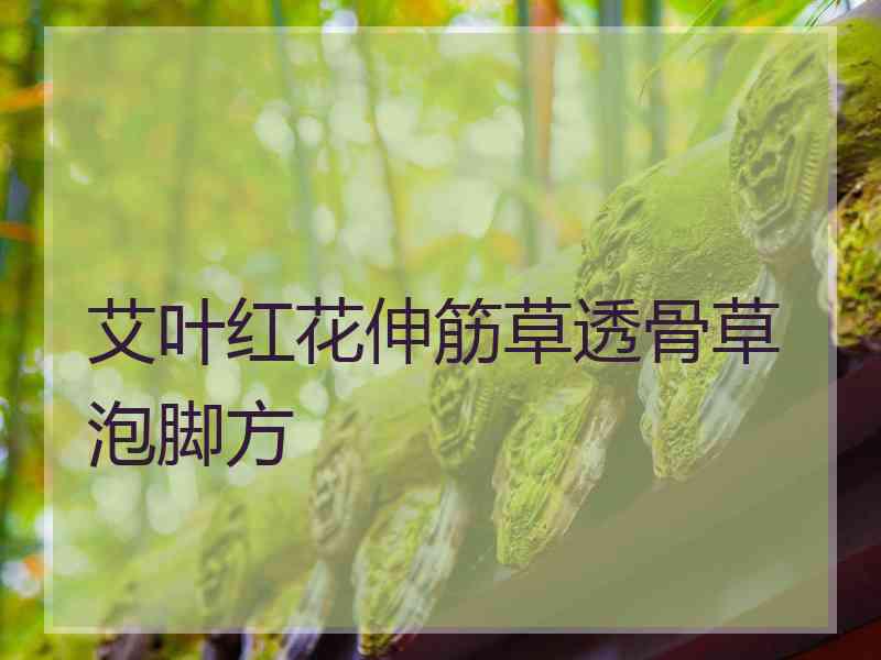 艾叶红花伸筋草透骨草泡脚方