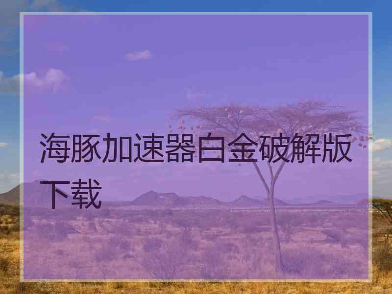 海豚加速器白金破解版下载