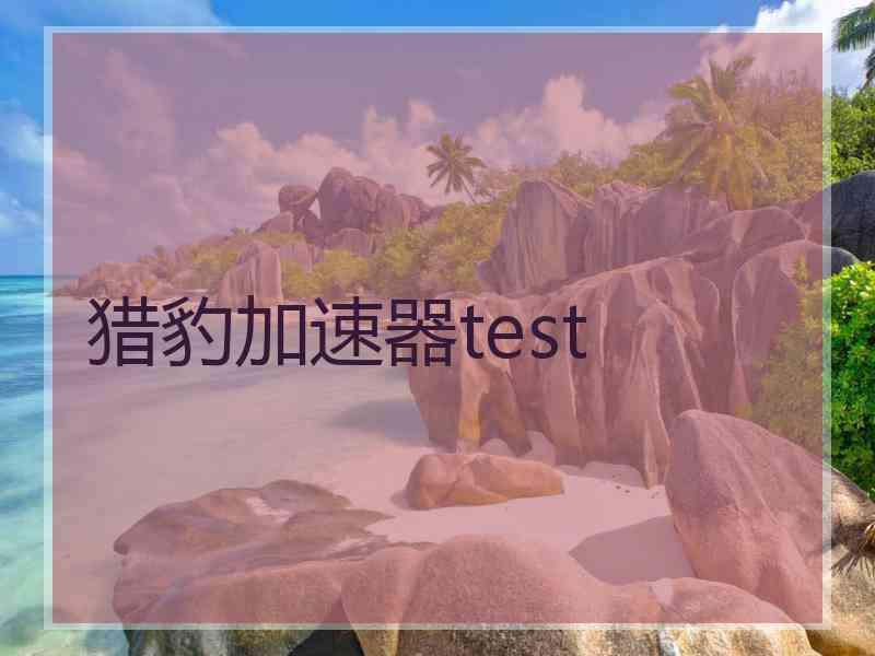猎豹加速器test