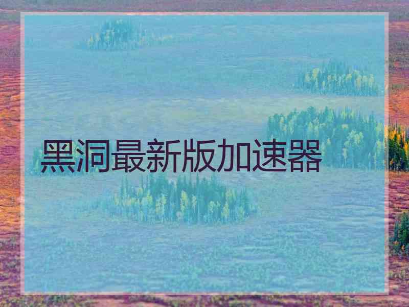 黑洞最新版加速器