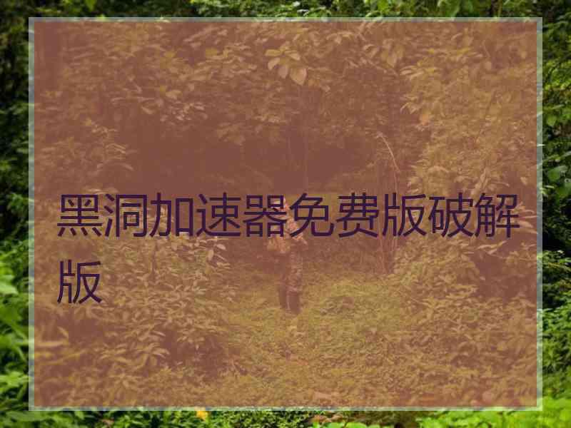 黑洞加速器免费版破解版