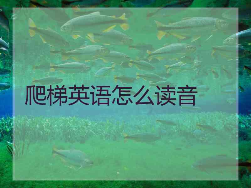 爬梯英语怎么读音