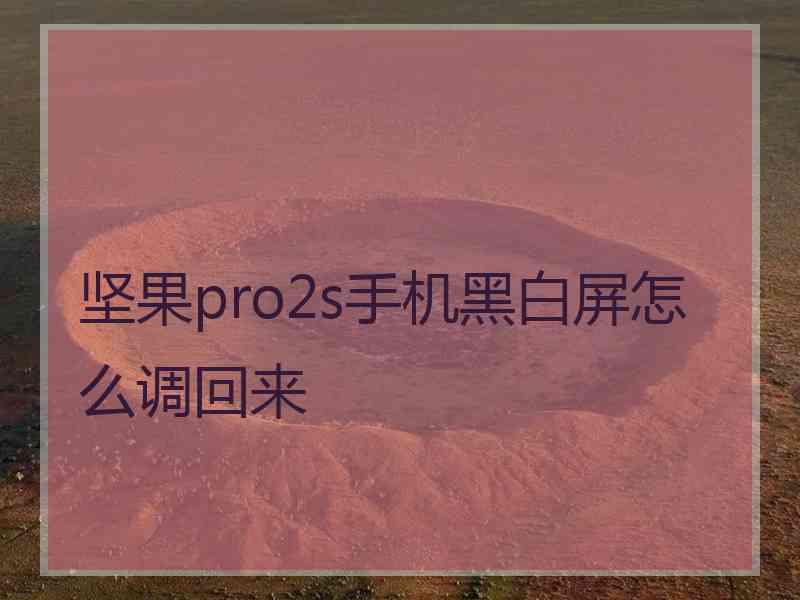 坚果pro2s手机黑白屏怎么调回来