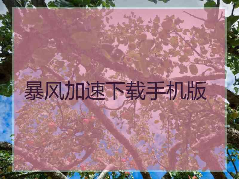 暴风加速下载手机版