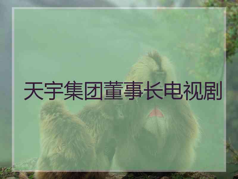 天宇集团董事长电视剧