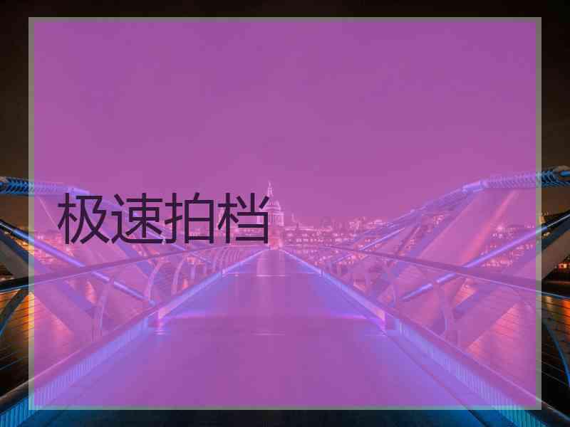 极速拍档