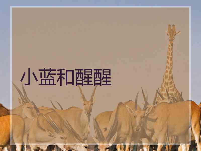 小蓝和醒醒
