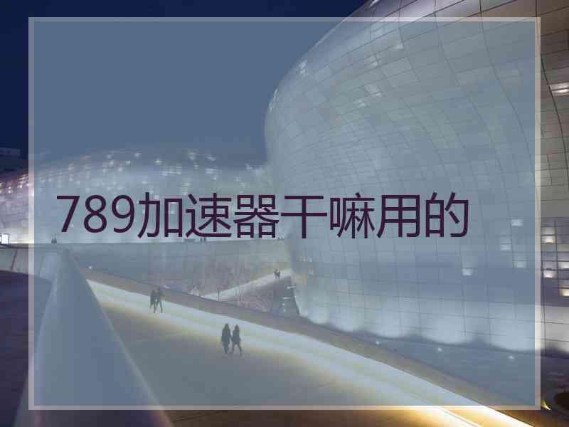 789加速器干嘛用的