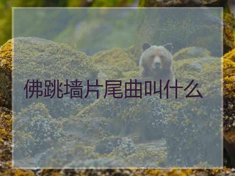 佛跳墙片尾曲叫什么