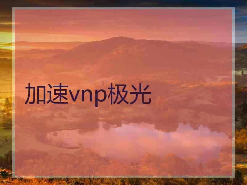 加速vnp极光