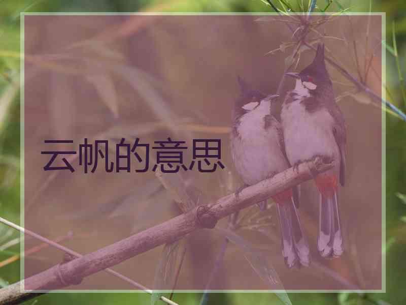 云帆的意思