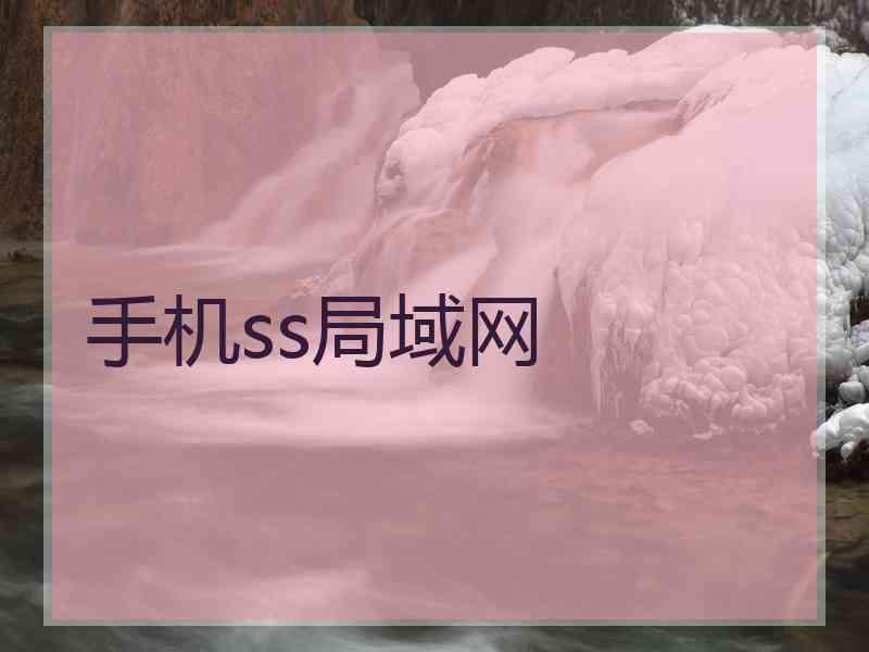 手机ss局域网