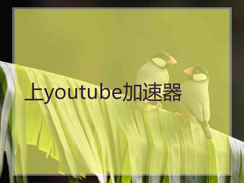 上youtube加速器