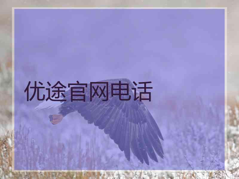 优途官网电话