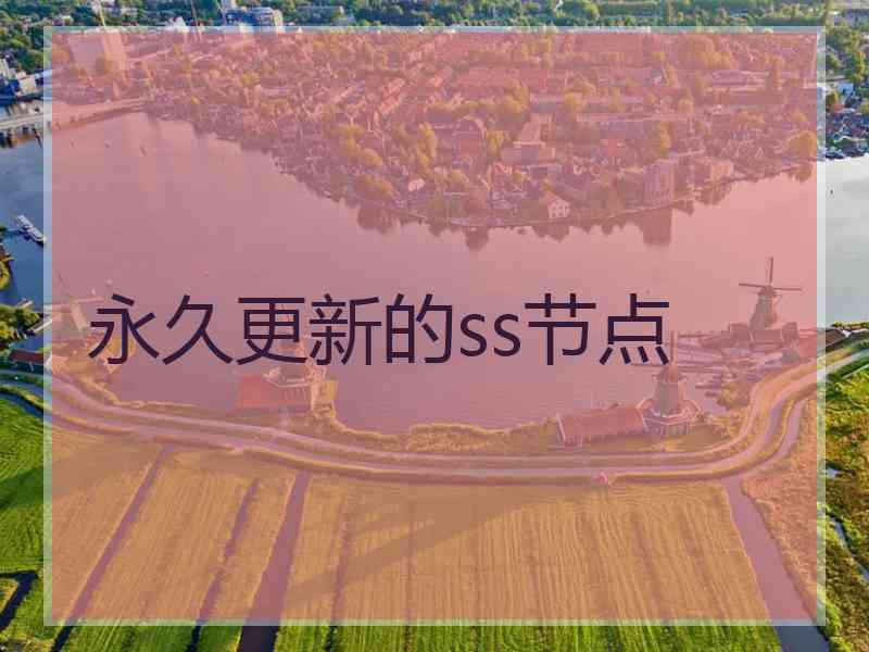 永久更新的ss节点