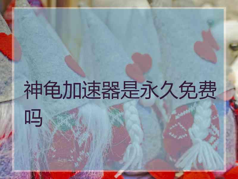 神龟加速器是永久免费吗