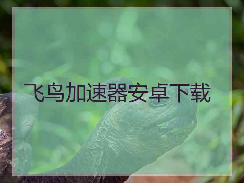 飞鸟加速器安卓下载