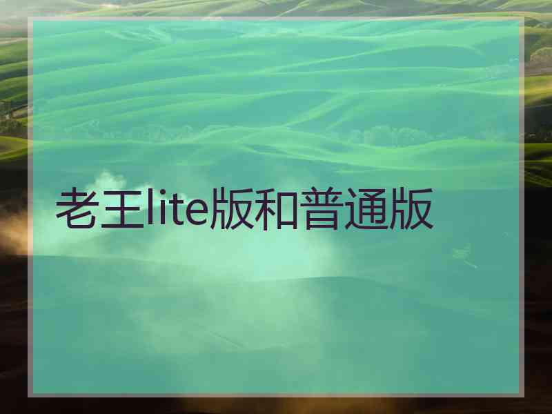 老王lite版和普通版