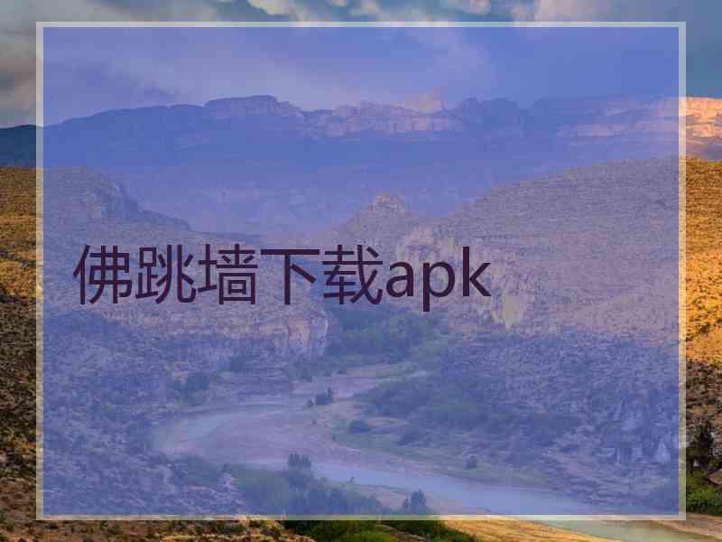 佛跳墙下载apk