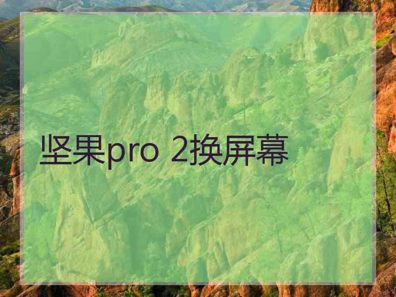 坚果pro 2换屏幕