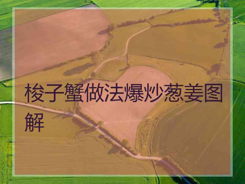 梭子蟹做法爆炒葱姜图解