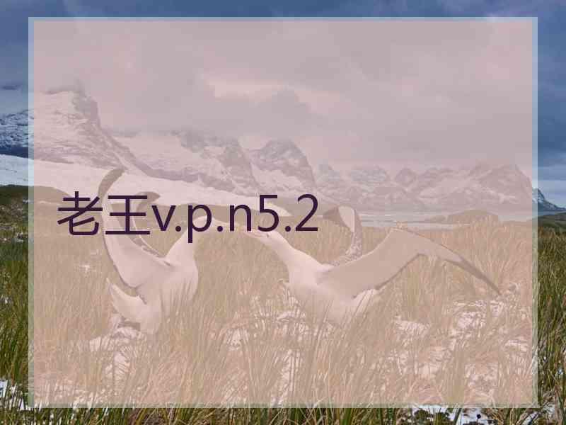 老王v.p.n5.2