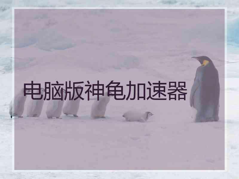 电脑版神龟加速器