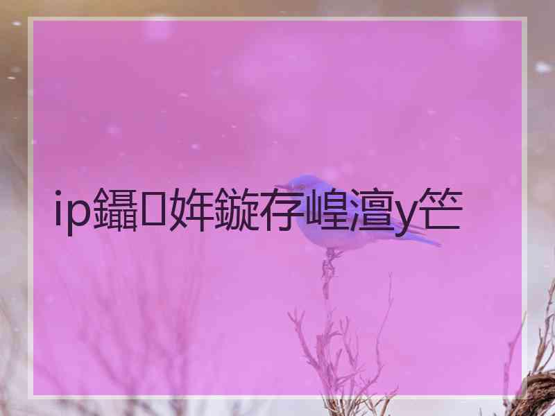 ip鑷姩鏇存崲澶у笀
