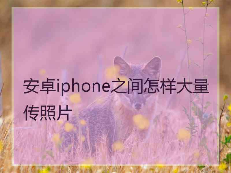 安卓iphone之间怎样大量传照片