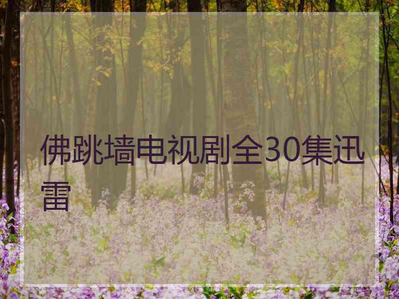 佛跳墙电视剧全30集迅雷