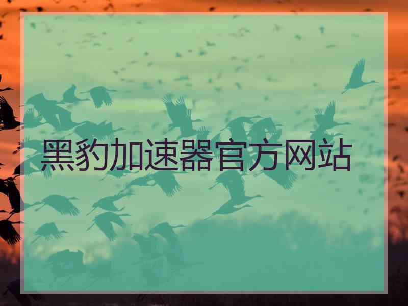 黑豹加速器官方网站