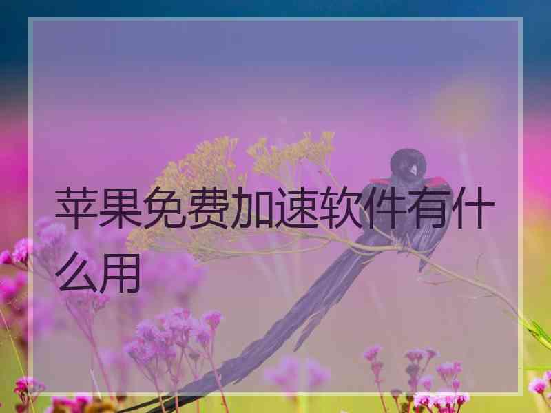 苹果免费加速软件有什么用